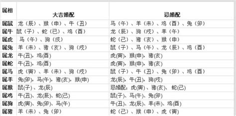 十二生肖婚姻配對|最完整的12生肖婚配表